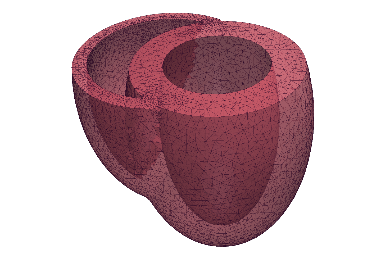A finite element mesh of a generic biventricle generated with CGAL.