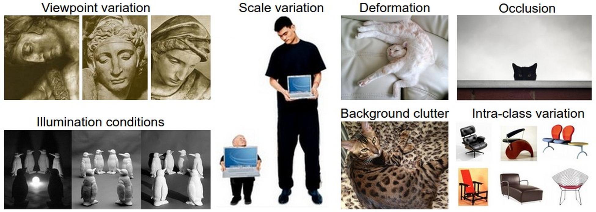Some of the challenges in getting a computer to classify images. (Reproduced from CS231n notes.)